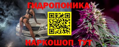 гашик Славгород