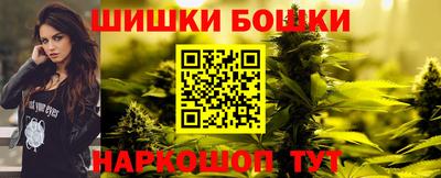 гашик Славгород