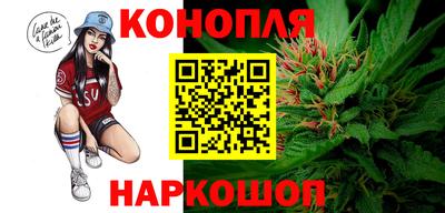 гашик Славгород